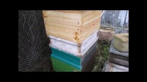 июль на пасеке - постановка магазинов под мед на взятке, сверху ставить или в разрез предыдущего