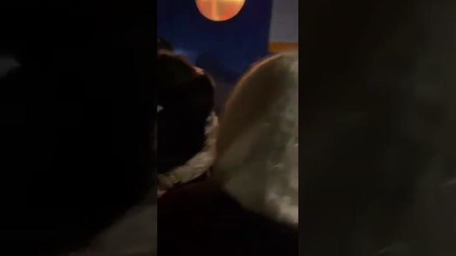 Саток смотреть онлайн