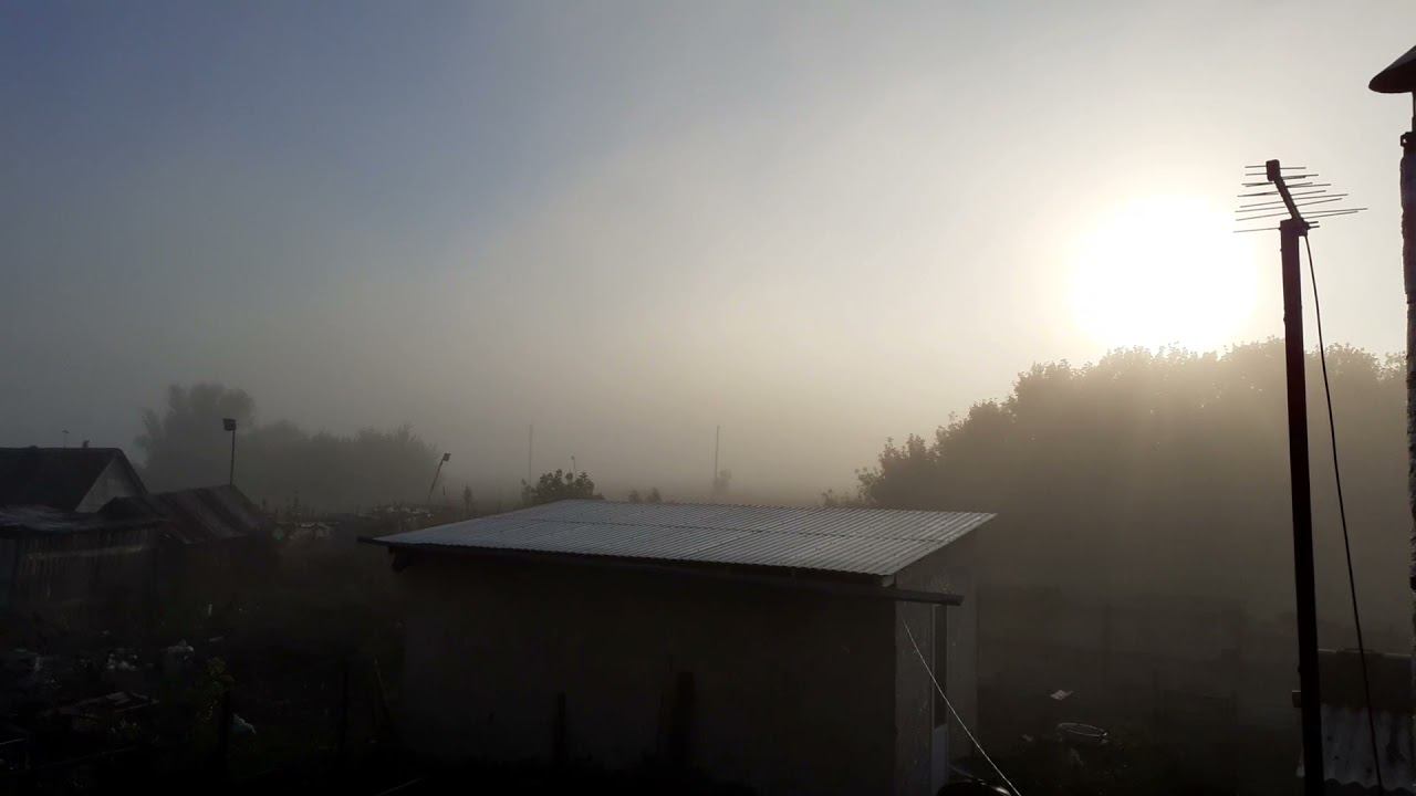 РАННЕЕ ЛЕТНЕЕ УТРО.... смотреть онлайн