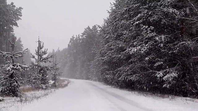 Звуки падающего снега для сна /Зимняя сказка/Falling snow/Sounds of nature/Relax/ASMR смотреть онлайн