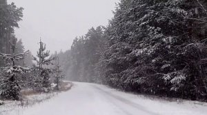 Звуки падающего снега для сна /Зимняя сказка/Falling snow/Sounds of nature/Relax/ASMR