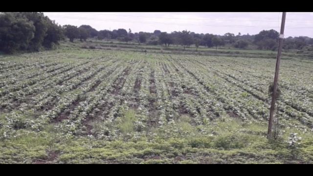 The call of soil | 11th English 1.3 смотреть онлайн