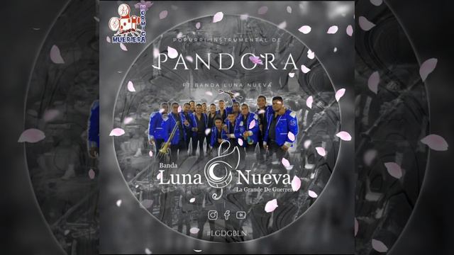 Popurri Pandora//Banda Luna Nueva (Instrumental) смотреть онлайн