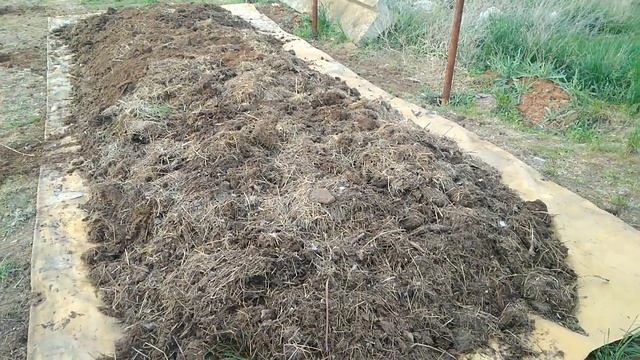 Червь Старатель- навозный червь! Подготовка к разведению червя в бурте.