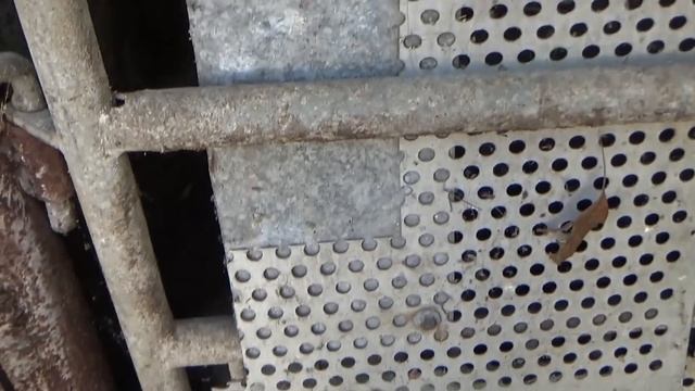 Отдали тортик! День гречаников!