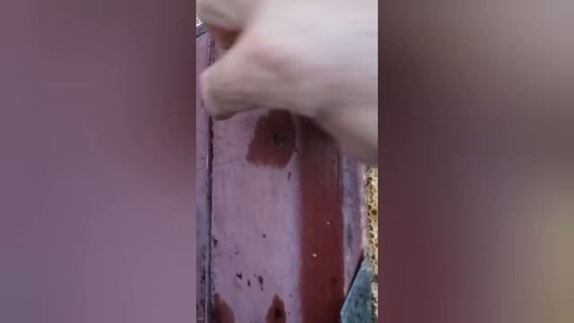 Продаю мёд разнотравье и жигули красная смотреть онлайн
