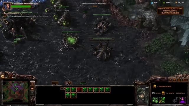 StarCraft 2 - Суровое испытание - Часть 11 - Эксперт - Прохождение Кампании Heart Of The Swarm смотреть онлайн