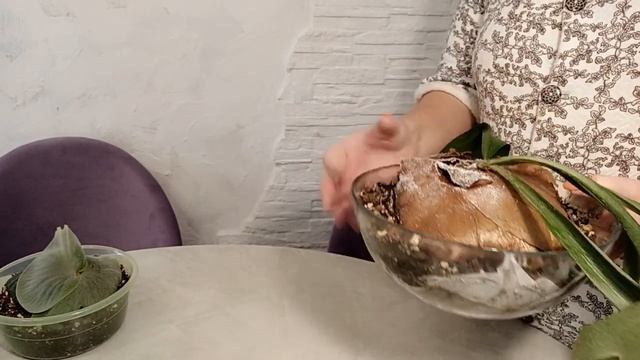 Есть ли выжившие после моих пересадок ?? "Боевое" ранение ? смотреть онлайн