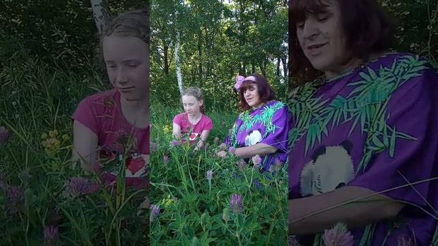 Загадки цветочного мира номер 28 смотреть онлайн