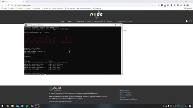 Setting up Angular Project like a Champ! смотреть онлайн