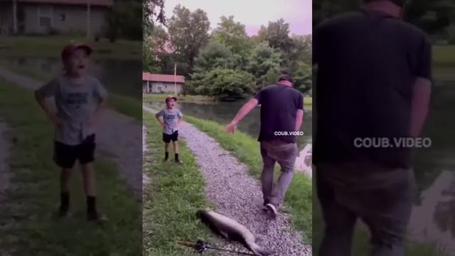 вот это рыба смотреть онлайн