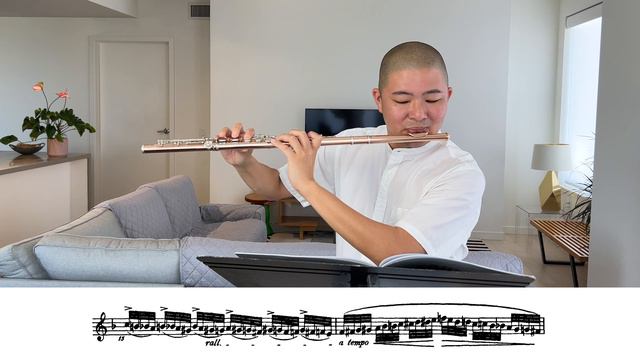 "The Wind" (Der Wind; Le Vent) | Köhler Chromatic Scale Flute Study Op. 66 #18 смотреть онлайн