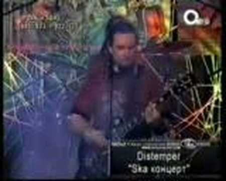 Ska concert смотреть онлайн