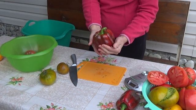 Дегустация помидоров и что с виноградным вином. смотреть онлайн