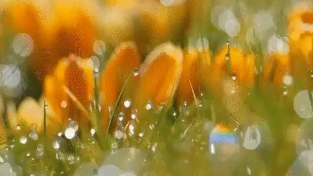 Запах весны смотреть онлайн