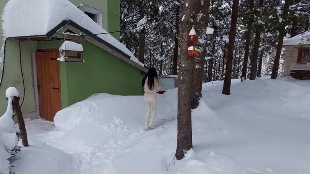 Карпаты Драгобрат Зеленая Дача , Фотосесия Чаны , Заведения Карпат G Bar калыба Гоголь бар Різдво . смотреть онлайн