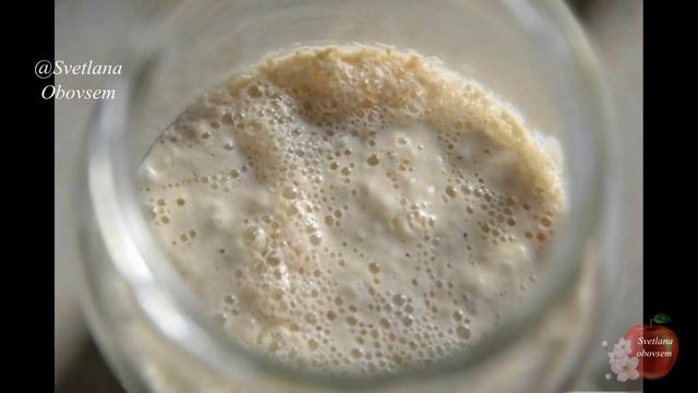 ХОТИТЕ МНОГО КЛУБНИКИ ПОЛЕЙТЕ В МАЕ,ИЮНЕ ДРОЖЖЕВЫМ НАСТОЕМ.ЖИВЫЕ МИКРОГРИБКИ НАКОРМЯТ ЕЕ ДОСЫТА смотреть онлайн