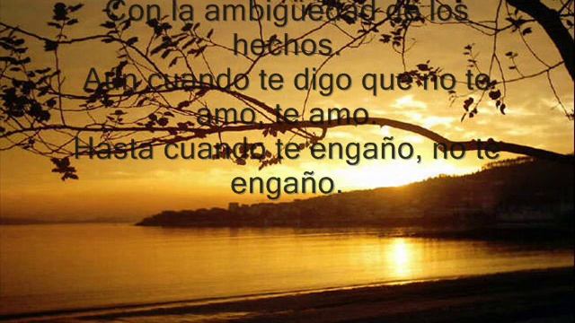 mondo bongo смотреть онлайн