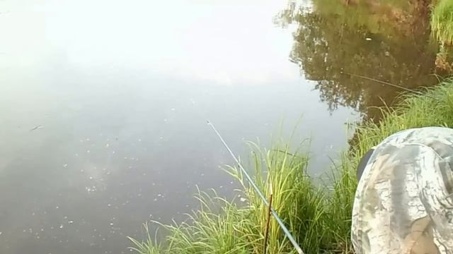 Болен Рыбалкой №73 - Ловля в проводку с берега смотреть онлайн