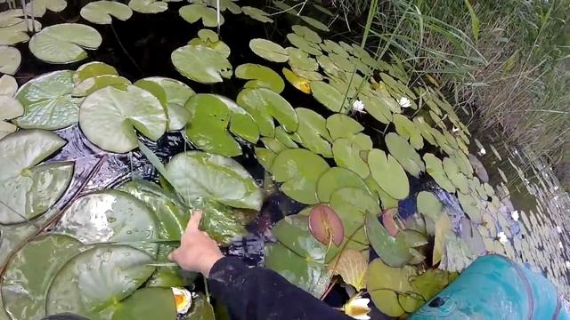 Рыбалка на снасть" БУТЫЛКА" и "ПЕРЕМЕТ". КУЧА СЕТЕЙ. Новые приключения. смотреть онлайн