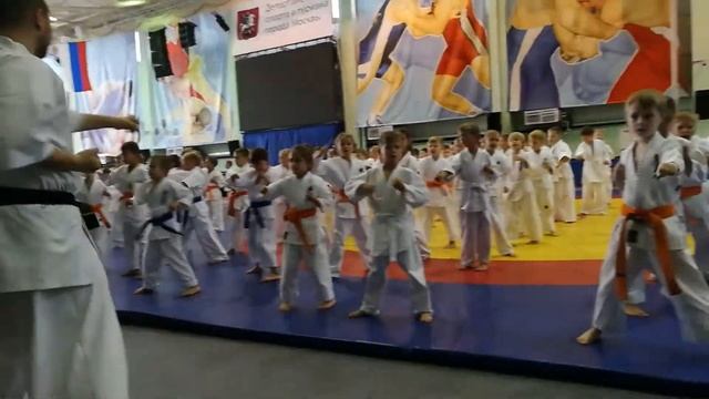 2000 ударов цки! Карате Киокушин. Дворец спорта им. Ярыгина. 10 сентября 2017 смотреть онлайн