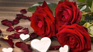 Подари любовь. Христианские песни.