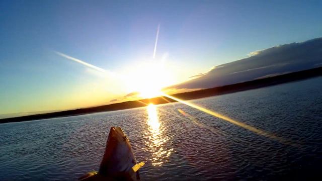 Выход судака в августе на Нуре! Коргалжын 2020/ Судак ломает спиннинг! смотреть онлайн