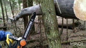 WORX WG385E NITRO. Аккумуляторная цепная пила в работе ч.2.