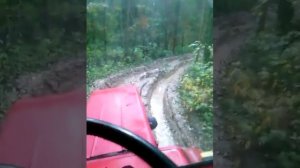 Т 25 резина от урала .