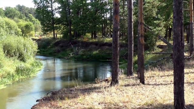 Деревня Гостец и окрестности. Петушинский район. Владимирская область. смотреть онлайн