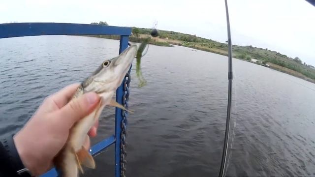 Майская Щука смотреть онлайн