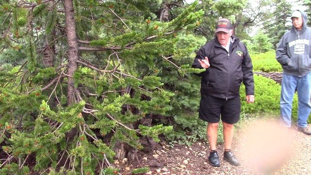 Bryce Canyon National Park, Utah Rainbow Point - Bus Tour in HD смотреть онлайн