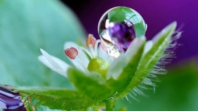 Утро смотреть онлайн