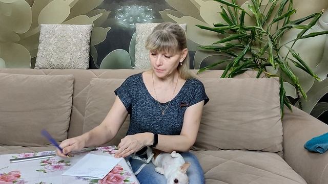 Одноглазая модель Фокси модница Как сделать выкройку комбинезона для маленькой собачки/Master diy. смотреть онлайн