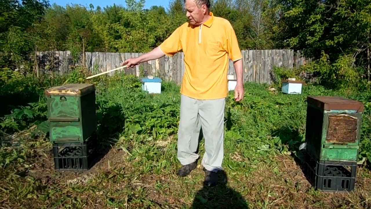 Первое правило роеловства. смотреть онлайн