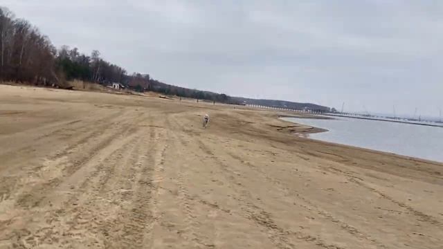 На Волге смотреть онлайн