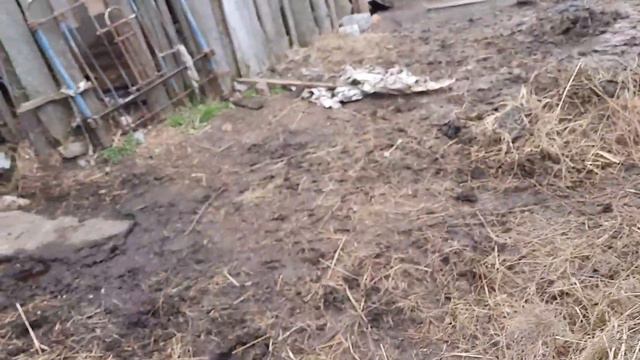 СКОЛЬКО МОЖНО ???//ВЕСНЫ НЕ БУДЕТ//ветер и холод не отступают смотреть онлайн