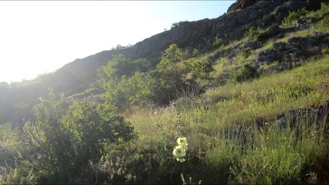 Интересные места и растения Крыма 5 смотреть онлайн