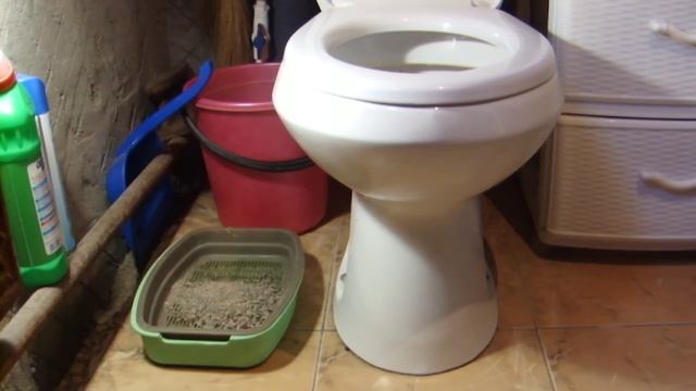 Как приучить кота к унитазу? смотреть онлайн