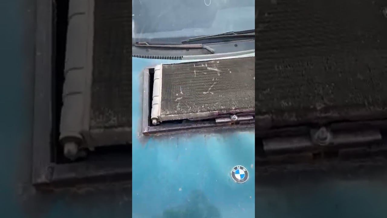 Старая дичь смотреть онлайн