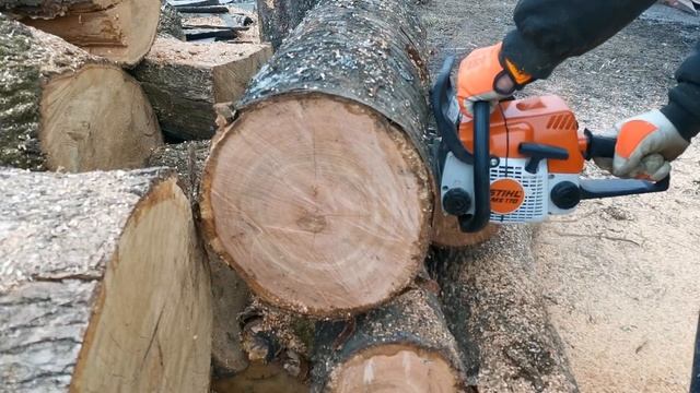 CHAINSAWS STIHL MS 170 1,6 cc cherry wood. смотреть онлайн