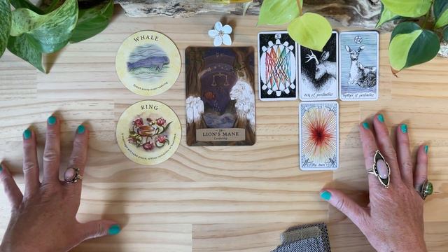 🌛🌝🌜MESSAGES FROM THE MOON GODDESS!!!🌛🌝🌜FULL SNOW MOON!!!🌛🌝🌜tarot card reading🌝 pick a card🌝 timeles смотреть онлайн