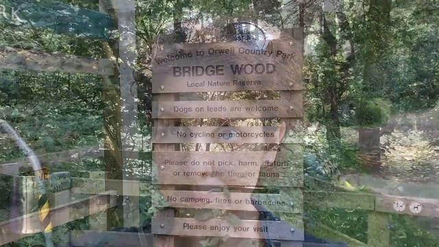 На местной барахолке / что рядом с нашим домом / вопрос садоводам смотреть онлайн