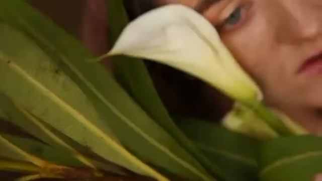 Каллы!!! Красивый творческий проэкт#цветы#видео#фотосъёмка#