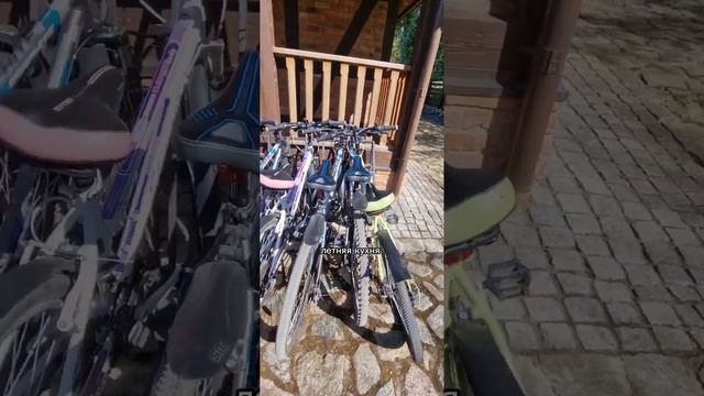 ХУТОР СТАРОГО ПАСЕЧНИКА, Калининградская область смотреть онлайн