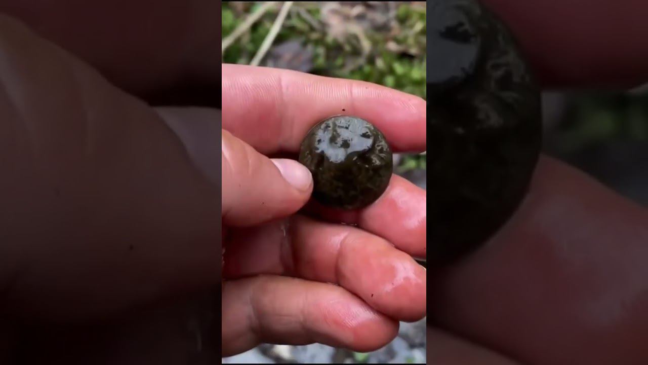 Находка ч.17 #леснойскобарь#2024 #коп#металлоискатель#находкисметаллоискателем#minelab #shorts