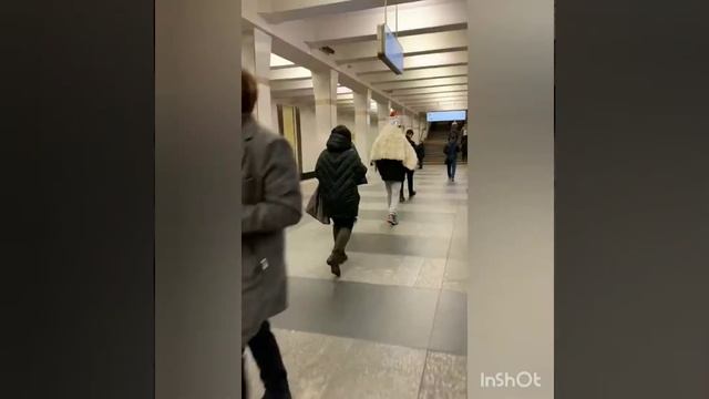 ЧЕЛОВЕК СУП?