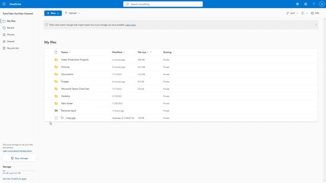 Microsoft OneDrive - Lesson 11- Renaming Files and Folders смотреть онлайн