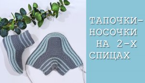 Красивые и теплые тапочки-носочки /На 2-х спицах