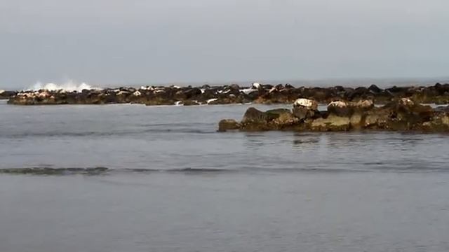 Италия. Адриатика. Венеция (lagoon Of The Adriatic Sea)